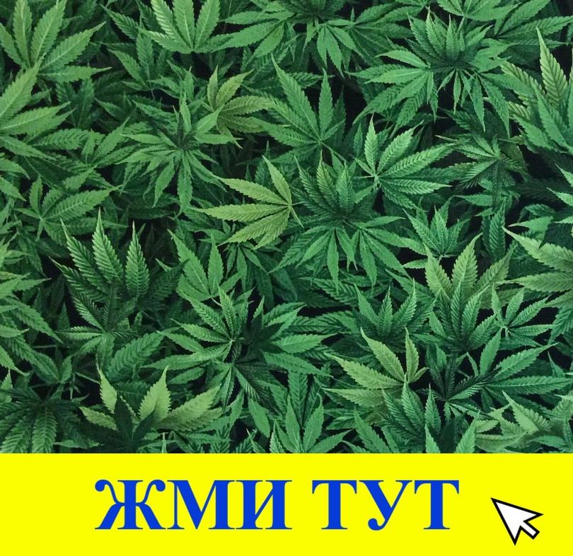 Купить наркотики в Тогучине